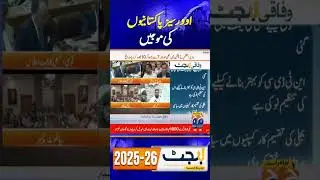 Good News for overseas Pakistanis | Budget 2025-26