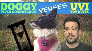 1 Hour Challenge: Scoring a Dog Video Using Only TOY SAMPLES