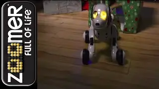 Zoomer | Bursting Out Of A Present & Breakdancing! Happy Holidays!