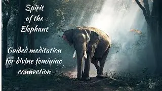 Meditation for healing feminine energy | Elephant Spirit Guide