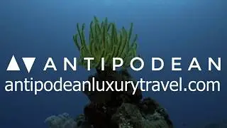 Australia | Antipodean Luxury Travel | Personalised Trips for Discerning Travellers