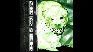 Schoold_mb, Холодная SVARKA - Bad Junglist | NEW RELEASE, Visualiser Included!