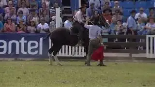 Basto Oriental Miércoles 28/3 Criolla del prado 2018