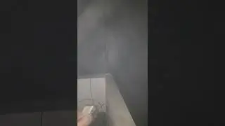 cheese eating rat caught on camera #rat #mouse #cheese #food #eating #asmr #fog