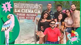 🌴 Parque Nacional Henri Pittier, LO CONOCES? 📍Aragua, Venezuela 2021