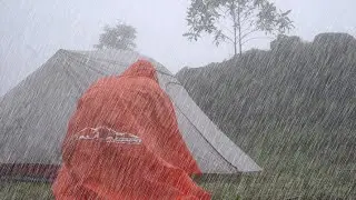 CAMPING IN THE RAIN : LISTENING TO RELAXING RAIN SOUND IN A SMALL TENT | ASMR | [4K]