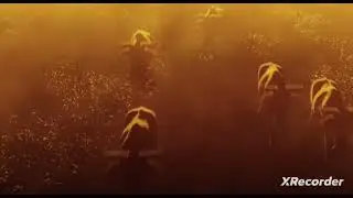 Wildebeast stampede 