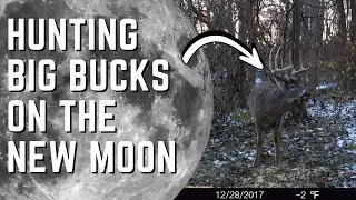 Why You Should Hunt The NEW MOON For BIG BUCKS!