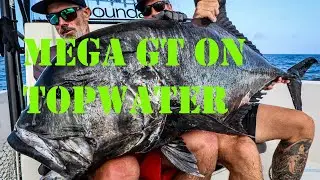 GIANT GT on NEW Stickbait