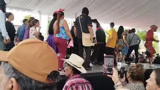 muy buenos bailadores de huapango