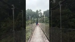 The Most Insane Swing Bridge in the World
