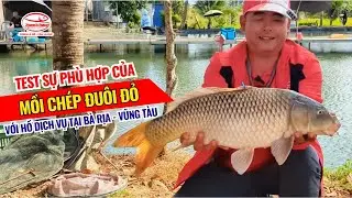 Test sự phù hợp của Mồi Chép Đuôi Đỏ với Hồ dịch vụ tại Bà Rịa - Vũng Tàu