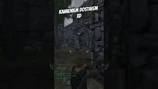 kamieniem dostałem xD #pl #nowaojczyzna #warband #rhodok #sandbox #mountandblade #dodatek #mod