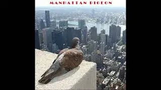 JAMES CLARKE FIVE: Manhattan Pigeon (instrumental version)
