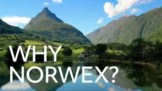 Why Norwex?