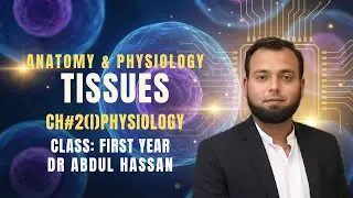 Tissues: Definition, Characteristics and Types of Epithelial, Connective, Muscle and Nervous