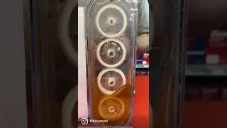 Lucas Oil Stabilizer vs Lucas Oil Low Viscosity Stabilizer!