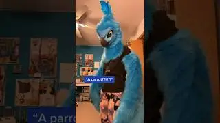 Spix macaw :) #furry #cosplay #fursuit #fursuitmaker #dinomask