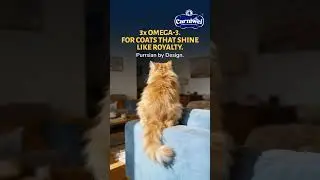 3x Omega-3 for Coats That Shine Like Royalty | Purrsian By Design