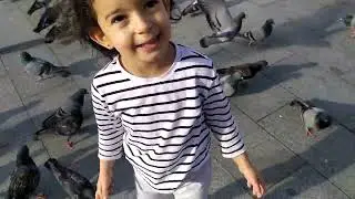 Tomris 🐦 lara yem veriyor 🐦🐦🐦☺️#appforkids #babyvideo #tomris 