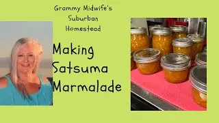 Satsuma Bourbon Vanilla Marmalade for @mattsara2802
