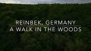 A walk in the woods | 4K drone footage | active track | dji mini 3 pro |