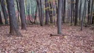Disc Golf Tour 2012