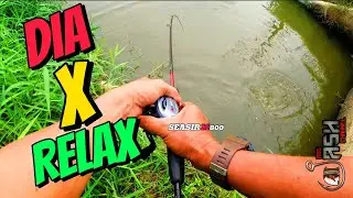 SP SERET DASAR - KETUK DASAR ][ SEASIR M800 SKIPPING TAK BIRD NEST #seasir #gabus #haruan