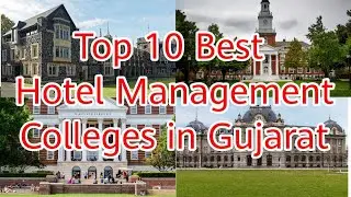 Top 10 Hotel Management Colleges in Gujarat / list of Hotel management colleges in India