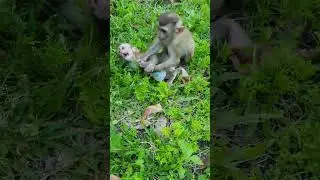 Very pity baby hungry friut