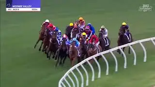 Moir Stakes 2025 - BARAQIEL (3YO+ WFA G1) Group 1 Moonee Valley 6 September