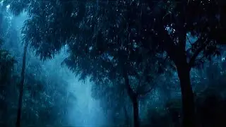 Super Heavy Rain and Strong Wind 🌧️ Real Storm Ambience for Sleep & Relaxation