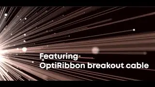 OptiRibbon Breakout cable 288