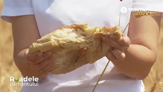 Cum recunoaștem p&acirc;inea de calitate #Roadelepamantului