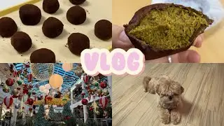 직장인 브이로그 | 두쫀쿠와 함께하는 크리스마스🧆.. 맛있는 거 잔뜩 먹는 vlog🤤💞
