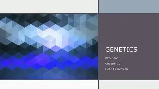 Chapter 12   Gene Expression