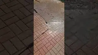 Pressure Washing Block Paving with Turbo Nozzle | Incredible Before & After Results