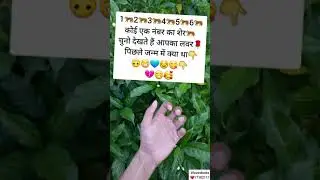 | love game | love quiz | game in hindi | choose one number | love status | #shorts #loves 1710211