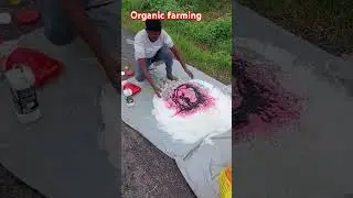 organic farming#keva company product