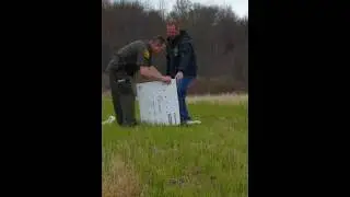 American bittern release