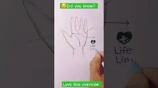 ❤️Love Line Overview❤️