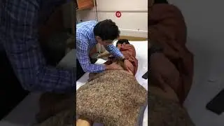 spleen #spleen #palpation #clinical #methods #splenomegaly #ytshorts #youtubeshorts #trending