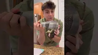Cooking Massive Iguana