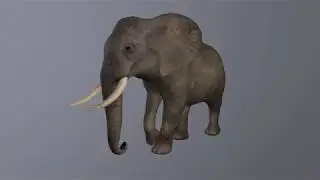 Elephant walk cycle