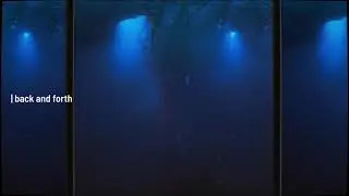 piedkies - back and forth