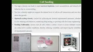 Cell subculturing techniques: Cell passaging, cell seeding, cell counting using hemocytometer