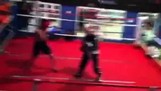 Willis Avenue Boxing