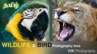 Episode 40: Bird Photography Lens | Sigma 150-500 review | Learn Photography in Tamil