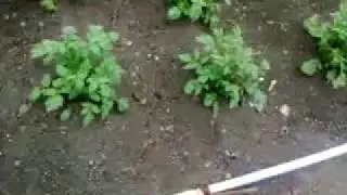 насос для полива из бочки .видео.