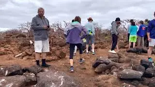 Galapagos:  Bartolome Island and North Seymour Island